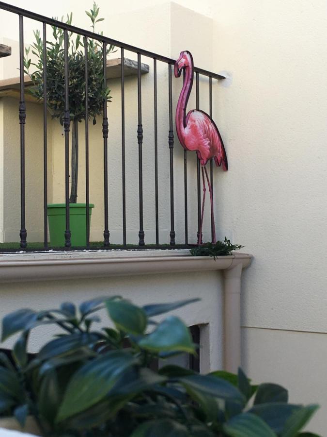 O 36 Rempart Sud B&B Aigues-Mortes Zewnętrze zdjęcie