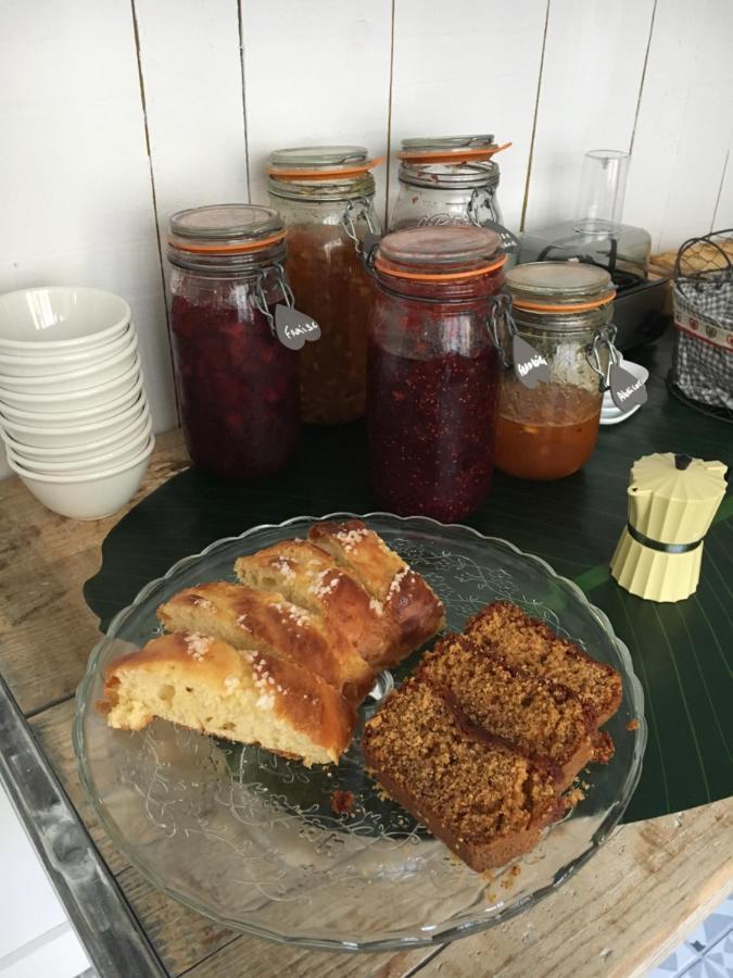 O 36 Rempart Sud B&B Aigues-Mortes Zewnętrze zdjęcie
