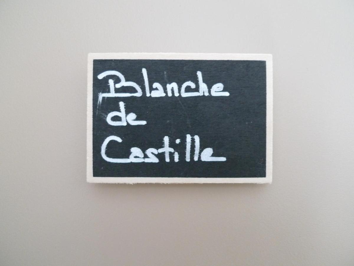 O 36 Rempart Sud B&B Aigues-Mortes Zewnętrze zdjęcie