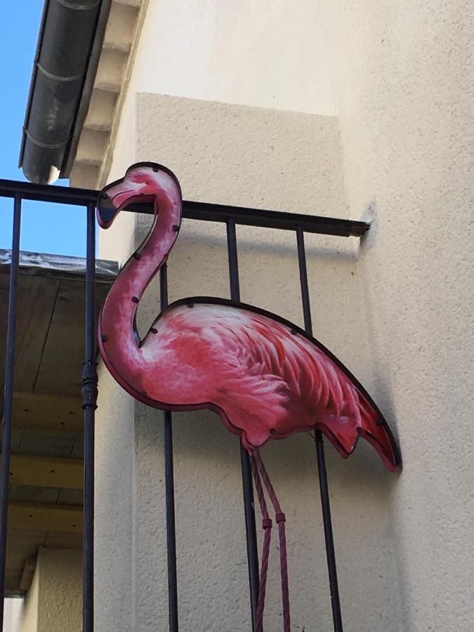 O 36 Rempart Sud B&B Aigues-Mortes Zewnętrze zdjęcie