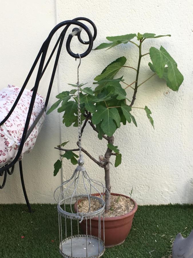 O 36 Rempart Sud B&B Aigues-Mortes Zewnętrze zdjęcie