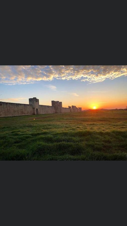 O 36 Rempart Sud B&B Aigues-Mortes Zewnętrze zdjęcie